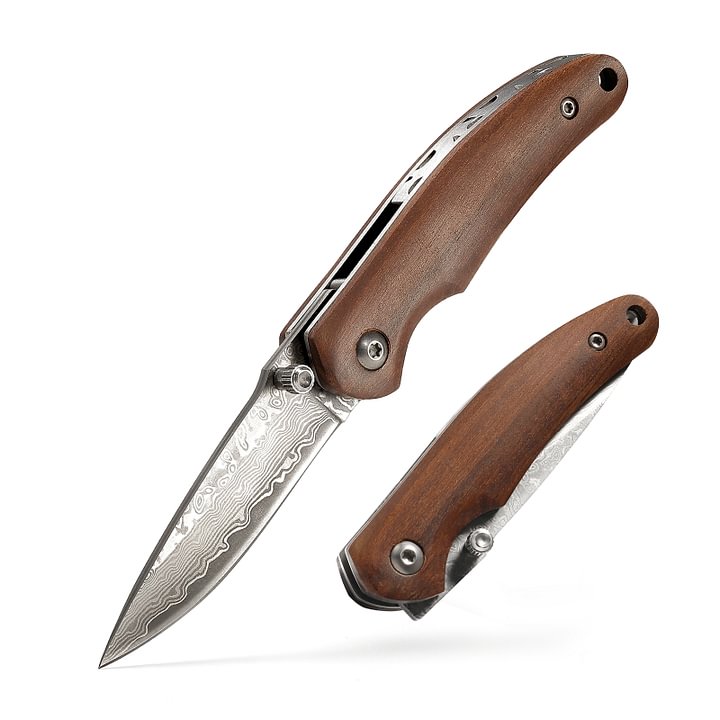 Damascus Small Pocket Knife, Folding Knife with 2.4 Inch Blade, Liner Lock, Wood Handle for EDC, Outdoor Camping, Survival